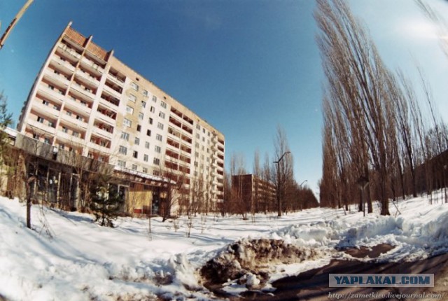 Зима в Зоне Отчуждения
