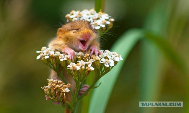 28 самых удачных кадров февраля