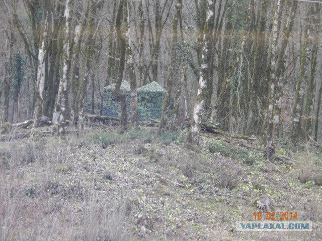 Два дня на Олимпиаде