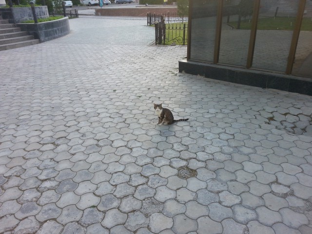 Ташкент в лицах
