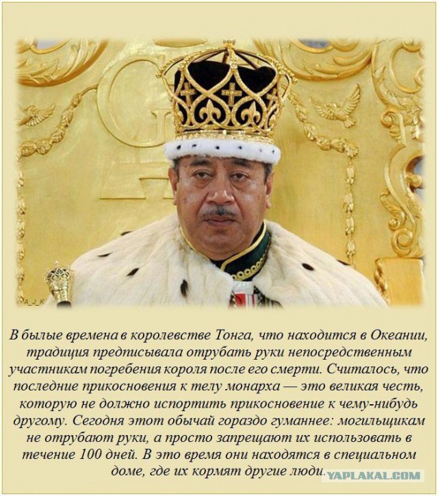 20 фактов обо всем