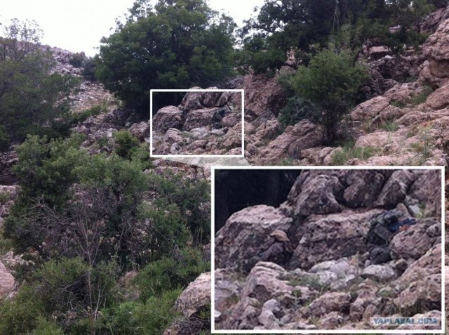 Сколько солдат на фотографии?