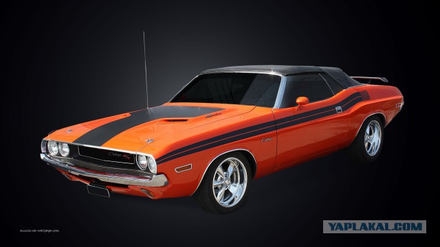 Muscle cars. История сумасшествия