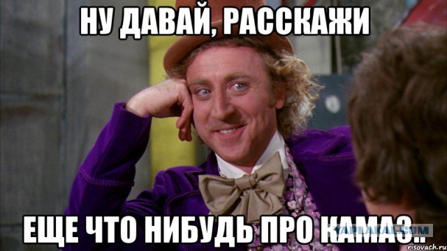 Безумство храбрых нас раздражает