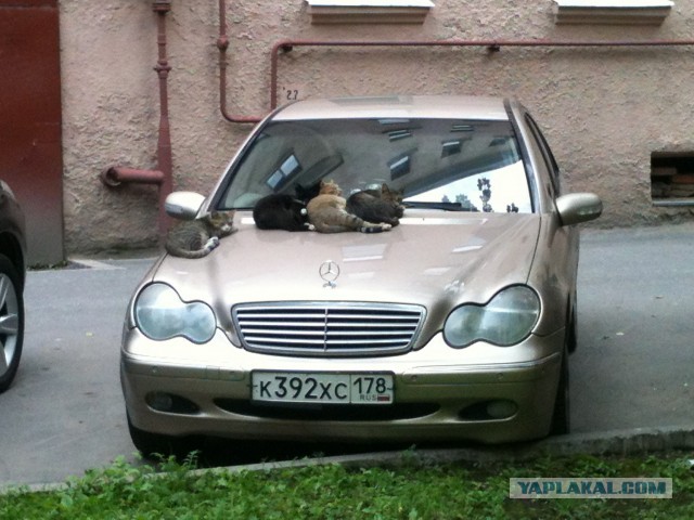Музей Merсedes Benz в Штутгарте