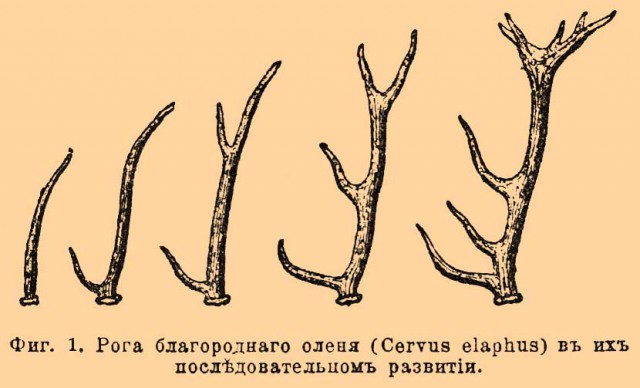 Вот вам загадка