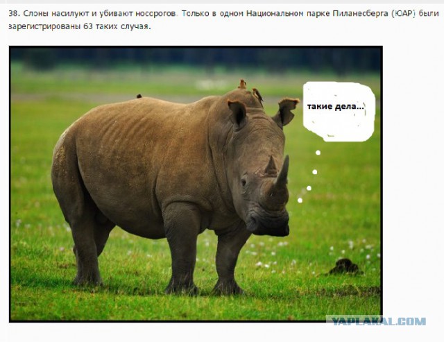 Спорим, что вы этого не знали?  ч.2