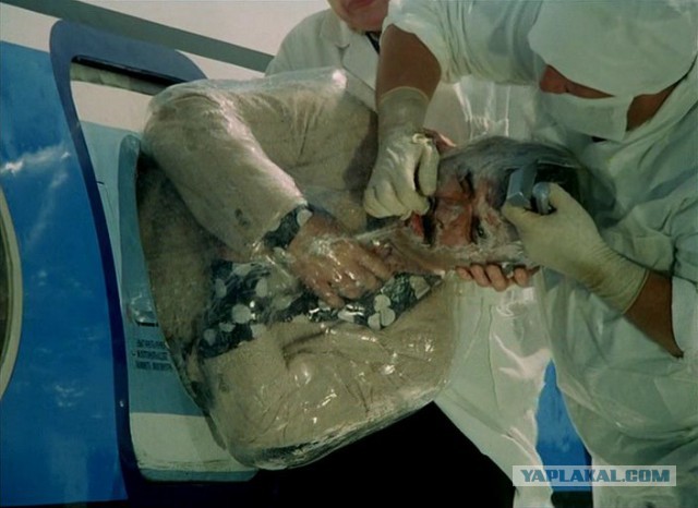 Подборка картинок 29.03.16