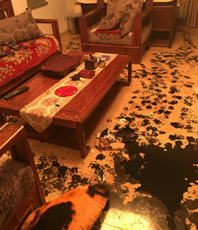 Семья сходила в кино...