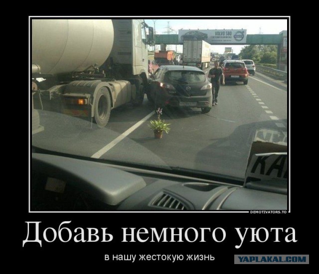 Подборка картинок