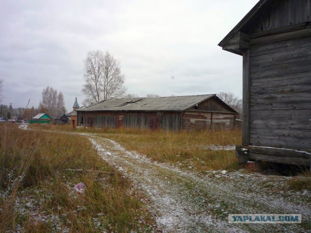 Мой родной сибирский поселок