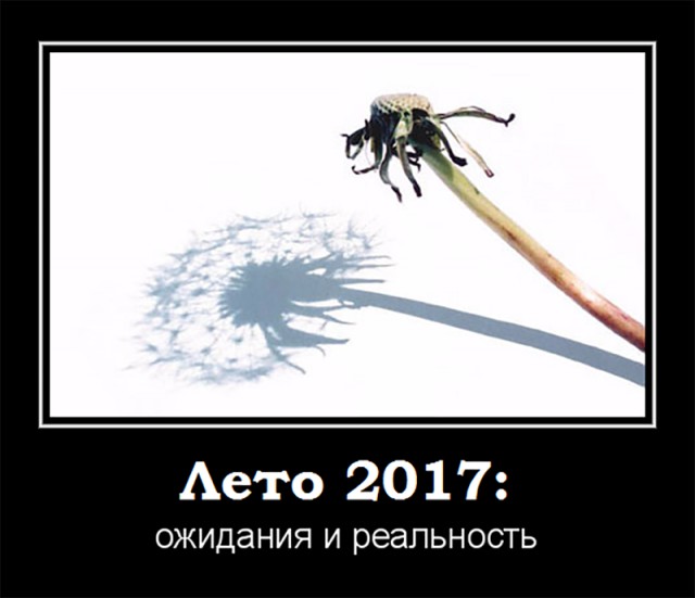 Дурацкое лето 2017