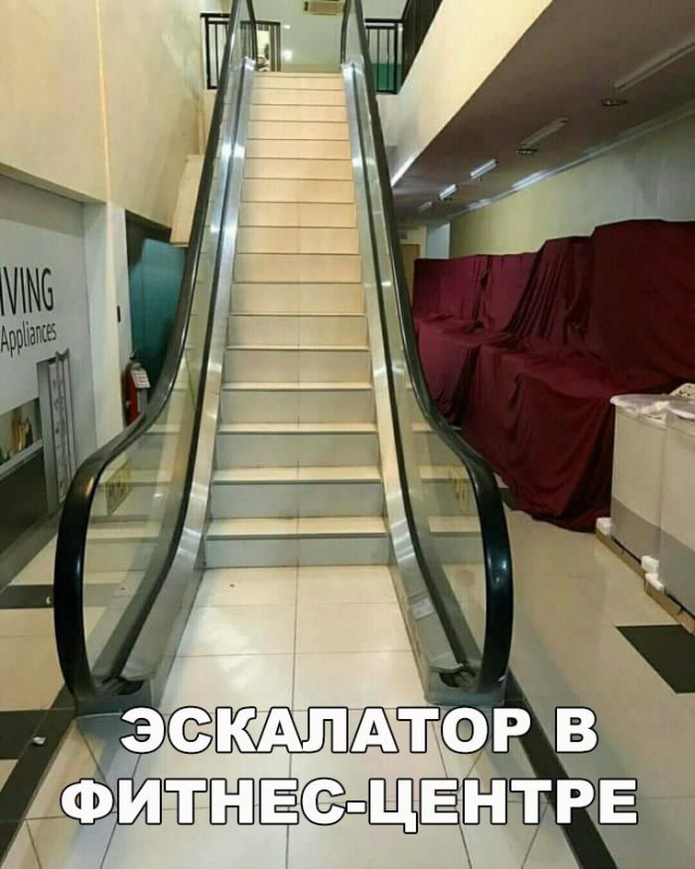 100 картинок для поднятия настроения!