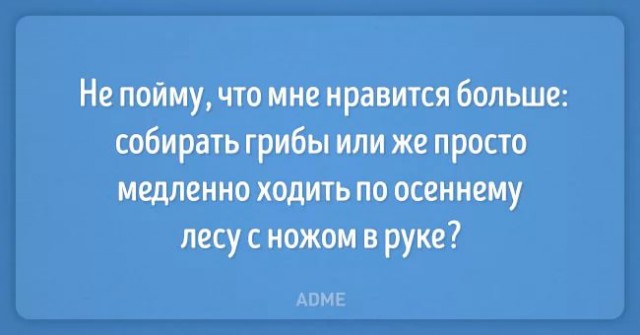 Начался грибной сезон! Небольшая памятка любителям “тихой охоты”