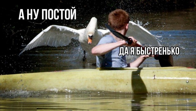 Тупанём?