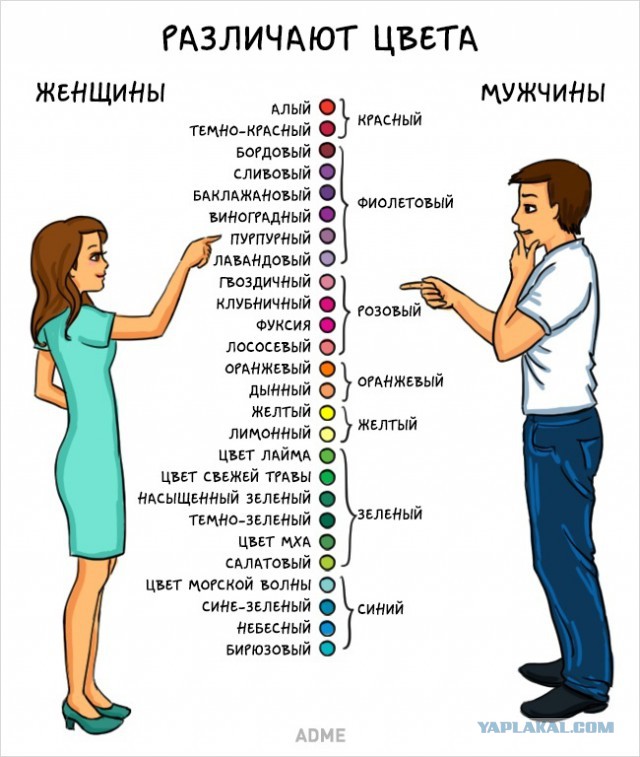 Подвороты 21 века (ЯП-историки и эксперты)