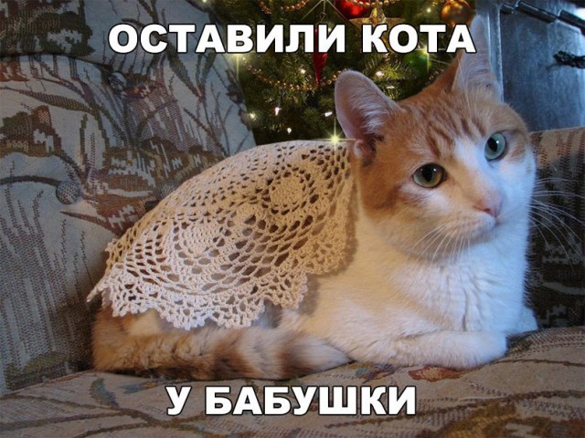 Нестандартный юмор