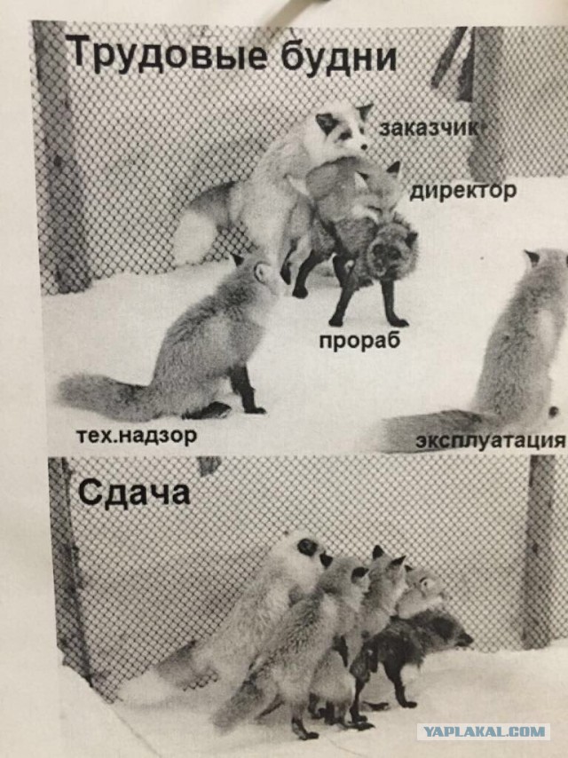 Брак