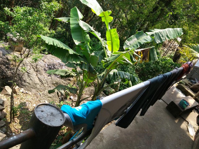 К живым мостам и обратно. Заметки из Индии