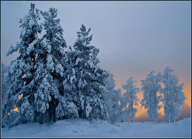 В наряде снежных кружев