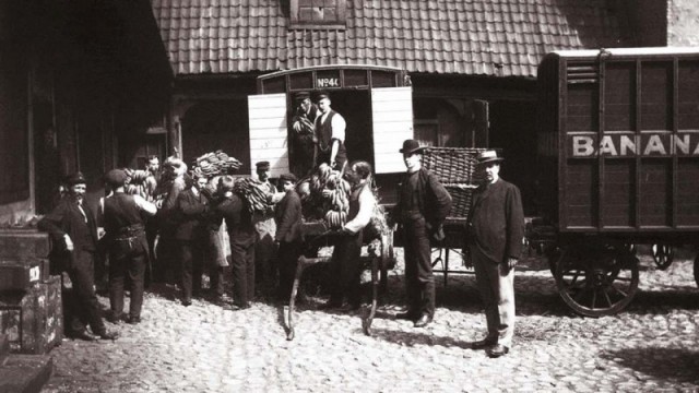 История в фотографиях