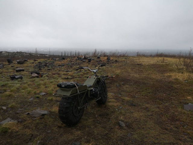 Осенняя тайга