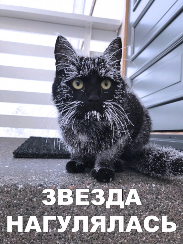 Немного милоты