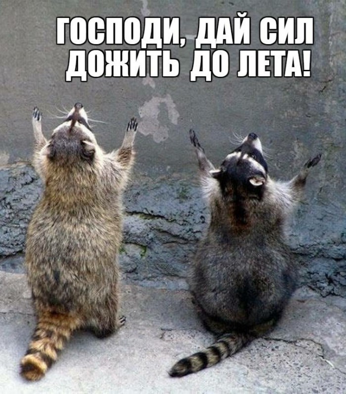 Немного картинок на вечер