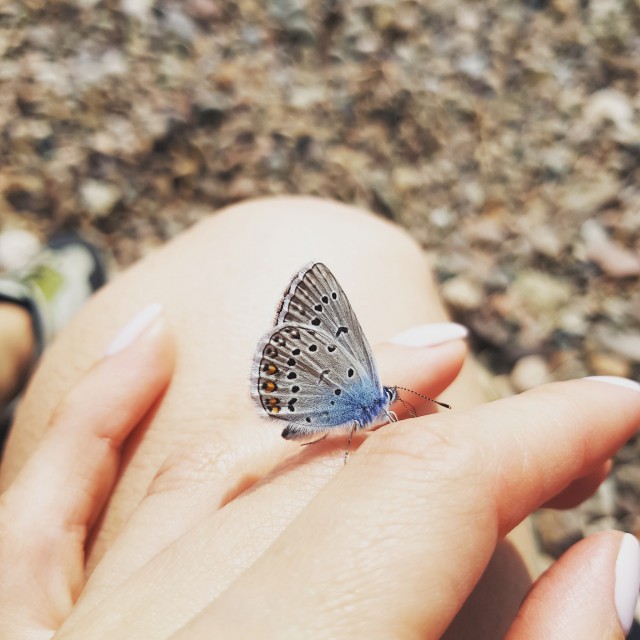 Байкал 2019. Фотоотчет