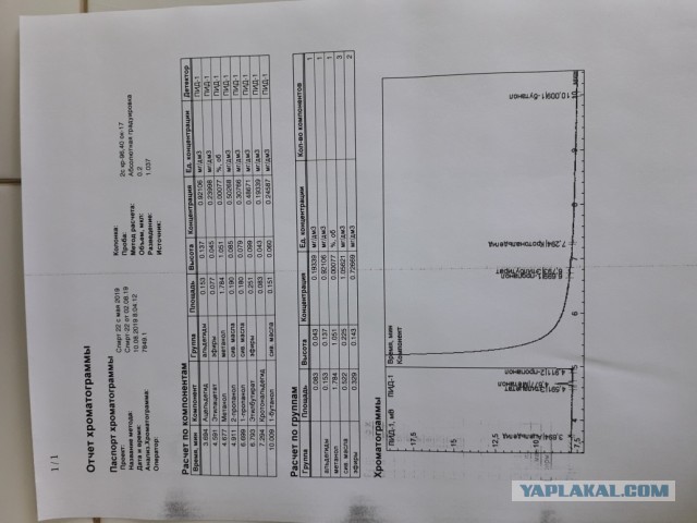 Битва титанов: сравнение вреда от пива и от водки
