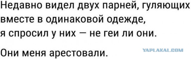 Цепной пёс кровавого режима