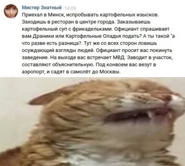 Кретинки 09.01.20