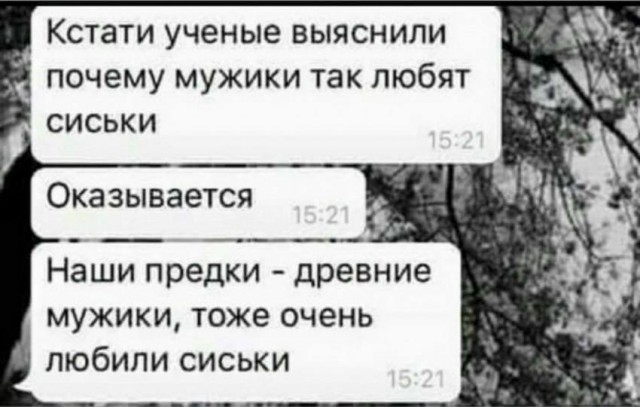 Бредзона 24.02.20