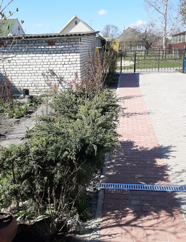А что у вас сейчас за окном?