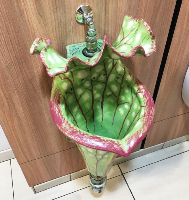 Не совсем привычные, но реально существующие вещи