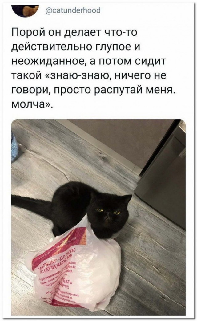 Боянистые картинки 26.12.20