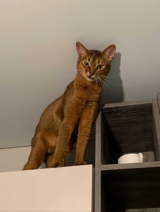 Добрые картинки 28.11.20
