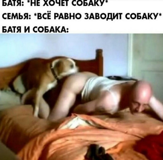 Начинается неделька...