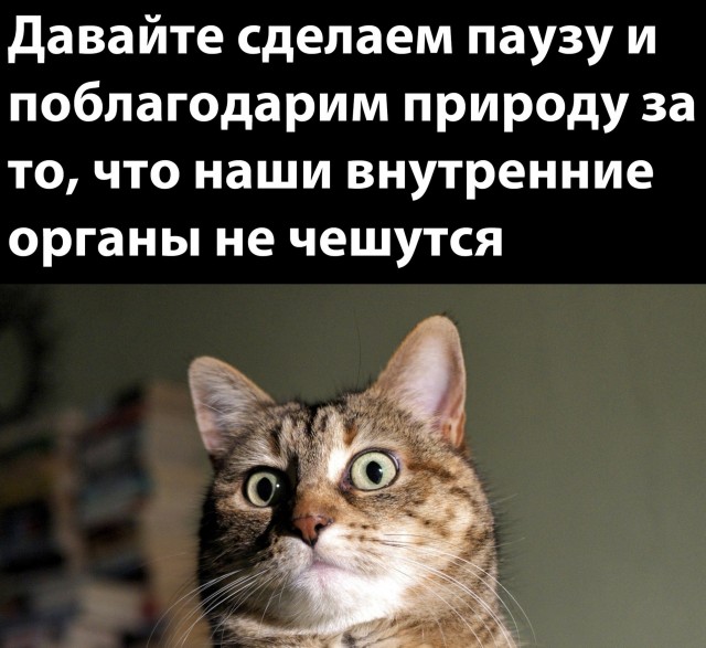 Кретинизмы из сети 13.08.2021