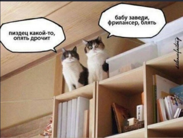 Что у них с позвоночником?