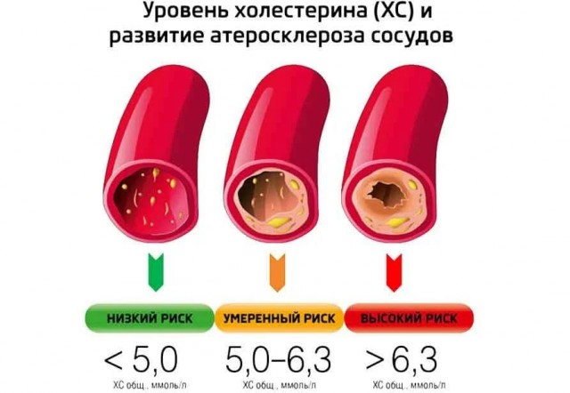 Пандемия. Коронавирус. Россия и мир. Часть 29