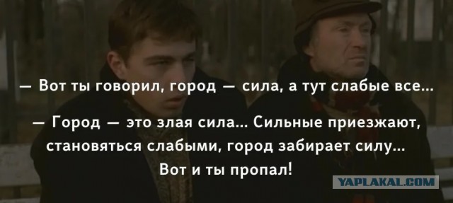 Шизоидная баба