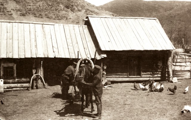 Сибирские казаки на службе и дома. Альбом 1911 года