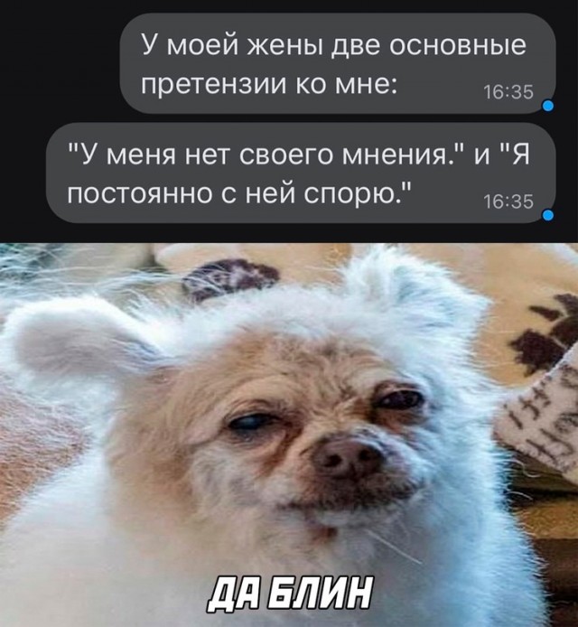 Картинки и мемы. Выходные близко...