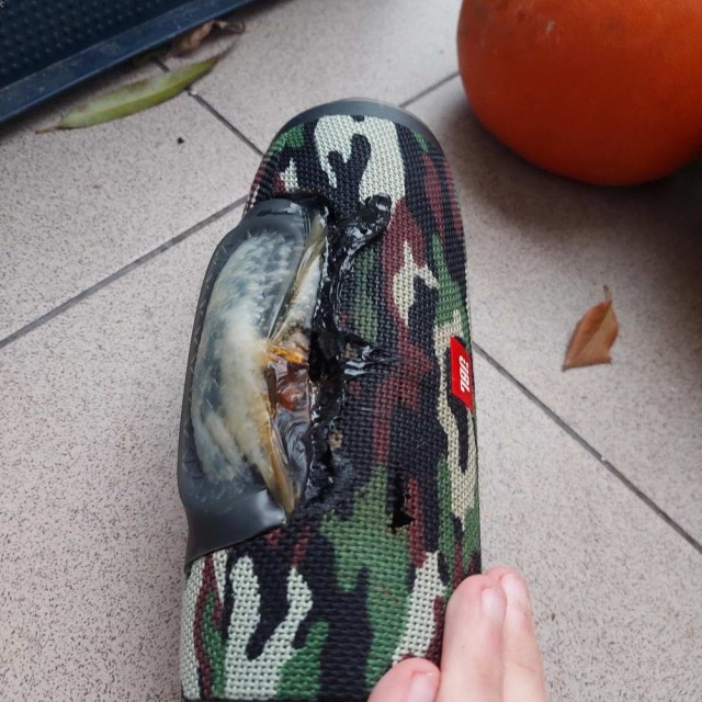 И так бывает