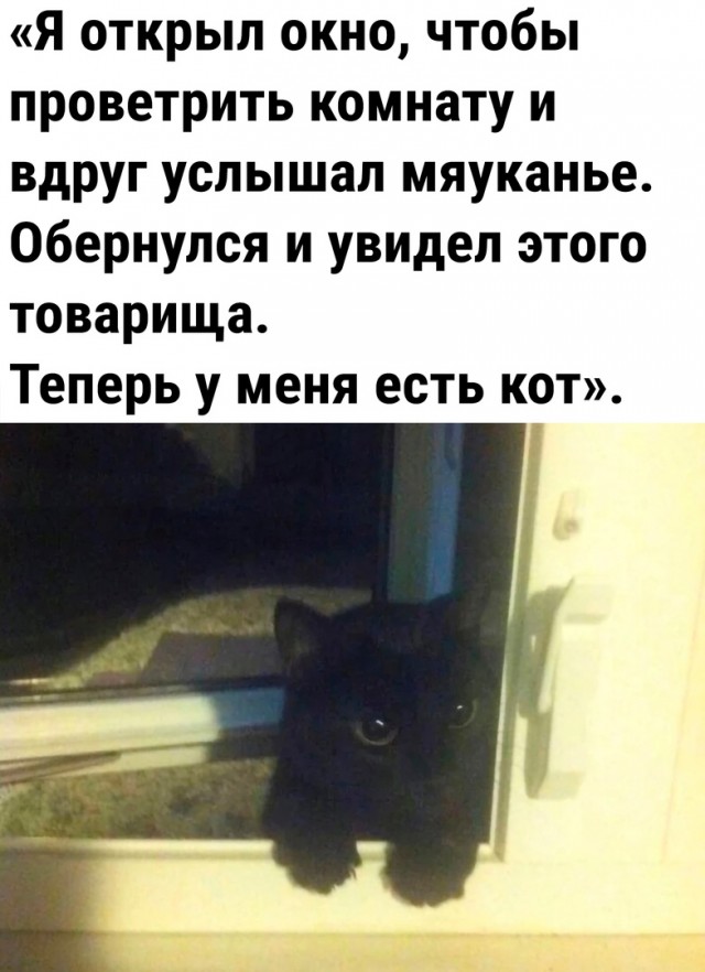 Так себе картинки 05.03.23