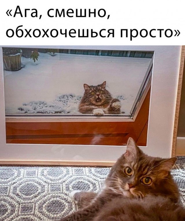 Немного картинок для настроения - 153