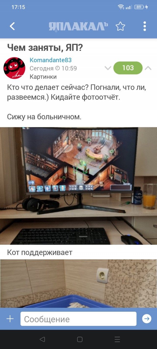 Чем заняты, ЯП?