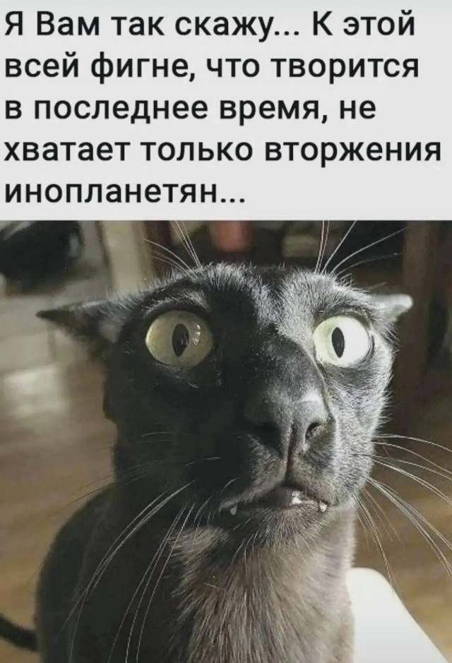 Картинки и мемы, всяко разно - 181