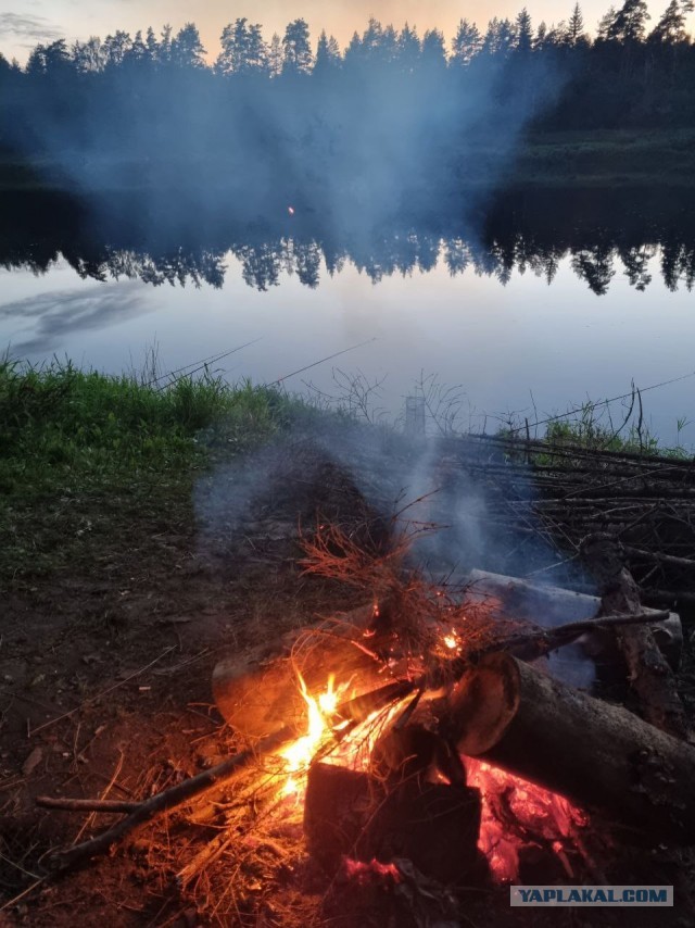 Рыбалка на Мологе